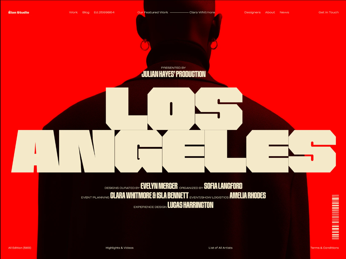 Example of expert-led WordPress design